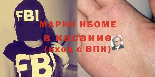 мдпв Гусев