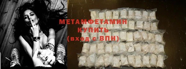 мдпв Гусев