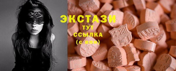мдпв Гусев