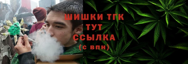 мдпв Гусев