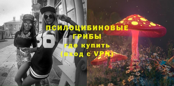 мдпв Гусев