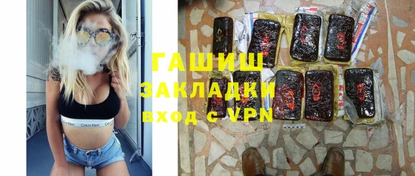мдпв Гусев