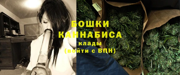 мдпв Гусев