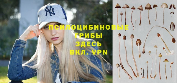 соль ск Гусь-Хрустальный
