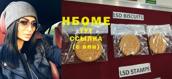 мдпв Гусев