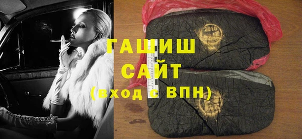 мдпв Гусев