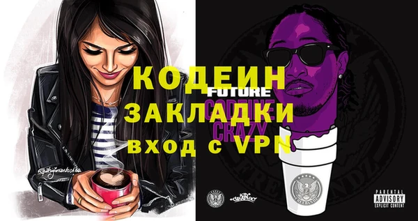 мдпв Гусев