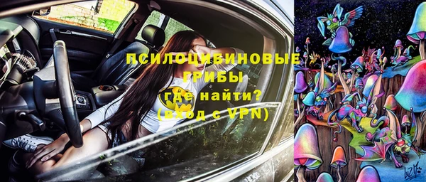 мдпв Гусев